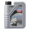 Liqui Moly Motorbike 2T S