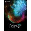 Corel Painter Maintenance...