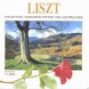 Georgisches Festival Orchester - Liszt-Collection 