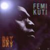 Femi Kuti - Day By Day - ...