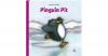 Pinguin Pit