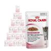 Royal Canin Kitten im Mixpaket - 48 x 85 g Gelee &