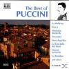 VARIOUS - Best Of Puccini...