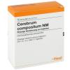 Cerebrum compositum NM Am...