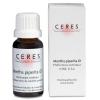 Ceres Mentha piperita Urtinktur