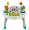 Fisher-Price 2-in-1 Activity Spielcenter