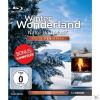 Winter Wonderland, Blu-Ra
