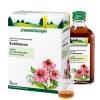 Echinacea SAFT Schoenenbe...