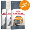 Royal Canin Probierpaket 3 x 400 g - Sensible 33 +