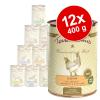 Sparpaket Terra Canis 12 x 400 g - Wild mit Kürbis