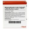 Hypophysis suis-Injeel® A...