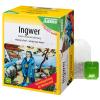 Salus® Ingwer Gewürztee