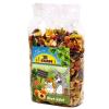 JR Farm Obst-Salat - 2 x 500 g
