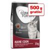 2,5 kg + 500 g gratis! 3 kg Concept for Life Katze