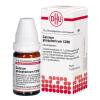 DHU Calcium Phosphoricum ...