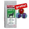 15 / 20 kg Royal Canin + drei Bunte Trixie Spielbä