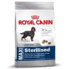 Royal Canin Maxi Adult St