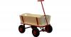 Strand-Bollerwagen Billy ...
