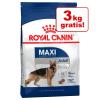 Royal Canin Size Hundefutter im Bonusbag - Medium 