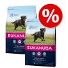 Sparpaket Eukanuba 2 x Großgebinde - Adult Premium