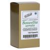 Boswellia Serrata L.ind.w...