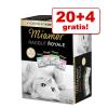 20 + 4 gratis! 24 x 100 g...