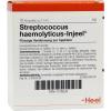 Streptococcus Haemolyticu...