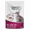 Concept for Life All Cats 10+ - in Gelee - 24 x 85