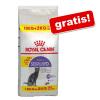 Royal Canin Feline Katzenfutter im Bonusbag - Outd