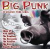 VARIOUS - Big Punk - (CD)