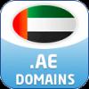 .ae-Domain