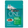 Purina One Indoor Formula...