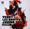 Terry Lee Brown Junior - Labyrinth - (CD)
