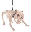 Funny Fashion Skelett Hund