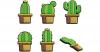 Pinnadeln Kaktus