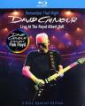 David Gilmour - Remember ...