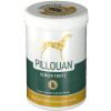 Pillquan® Seniorforte