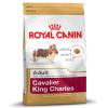 Royal Canin Cavalier King