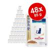 Sparpaket Royal Canin Veterinary Diet 48 x 100 g /