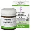 Biochemie 5 Kalium phosph...