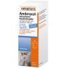 Ambroxol-ratiopharm® Hust