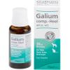 Galium comp.-Heel® ad us.