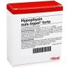 Hypophysis suis-Injeel® f