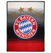 Fan-Shop Bayern München FC Bayern München Fleecede