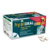 Hyaloral kleine & mittelgroße Rassen - 90 Tablette