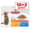 10 + 2 gratis! 12 x 85 g Hill´s Katzennassfutter -