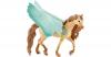 Schmuckpegasus, Hengst