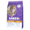 IAMS Pro Active Health Kitten & Junior - Sparpaket