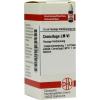 LM Cimicifuga VI Dilution