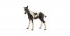 Schleich 13803 Horse Club...